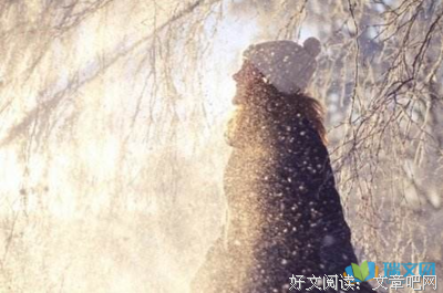 关于蒲公英的优美句子