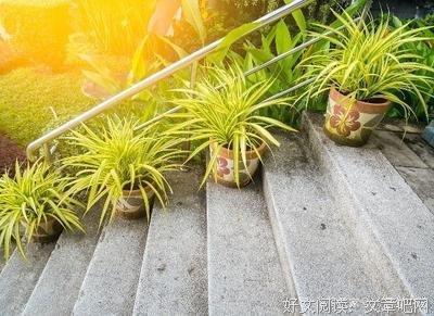 关于喜欢的优美句子