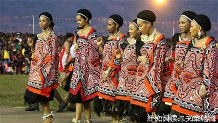 《媳妇去卖牛》，看完笑趴了！