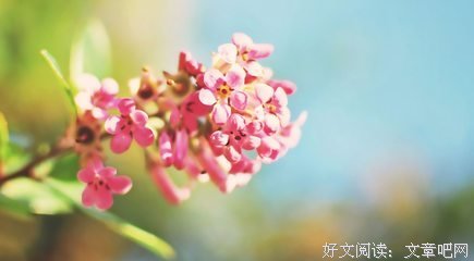 关于UPUP的优美句子