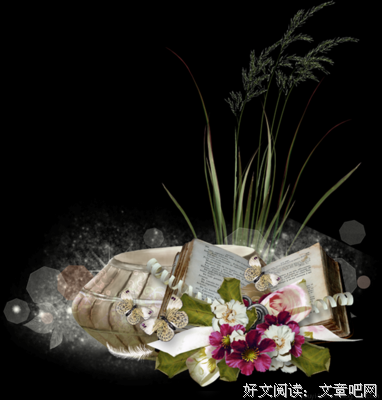 最全的《我是特种兵》名句欣赏