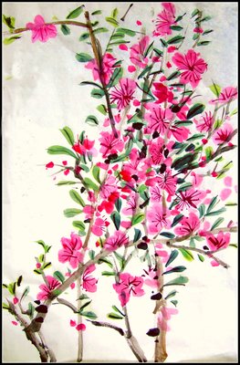 《提灯映桃花》名句欣赏大全