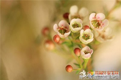 最经典的肯·福莱后将气说过精彩语录