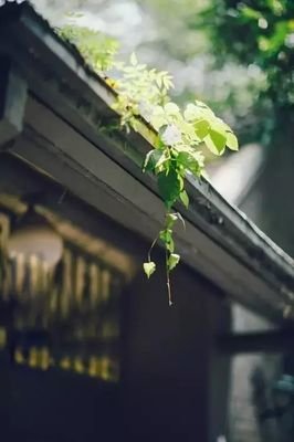 夜读：让你受益的八个感悟