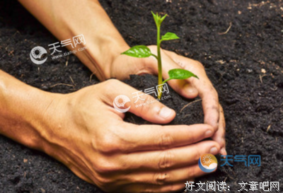 好句集句子大全