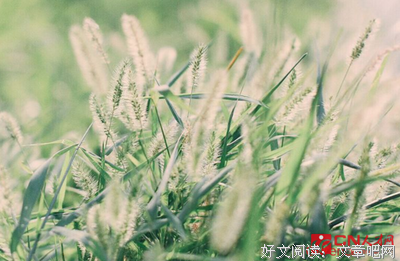 暗香疏影经典的句子