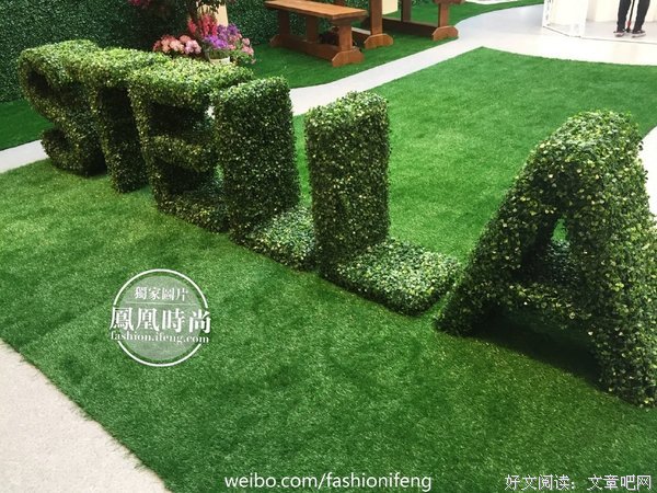 《花园派对》经典影评1000字