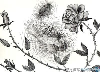 《夜莺与玫瑰》读后感精选