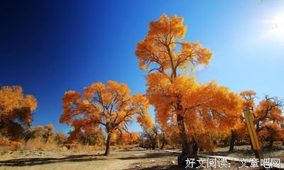 宣传经典读后感有感