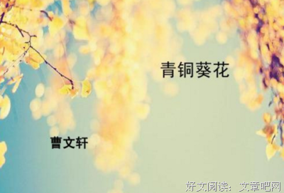 《中国青铜时代》经典读后感有感