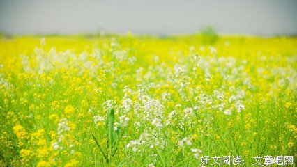 若有所思的名人名言