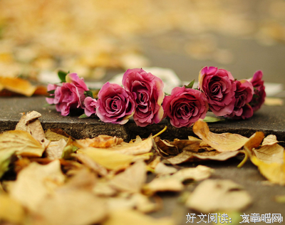 关于文艺小清新的句子