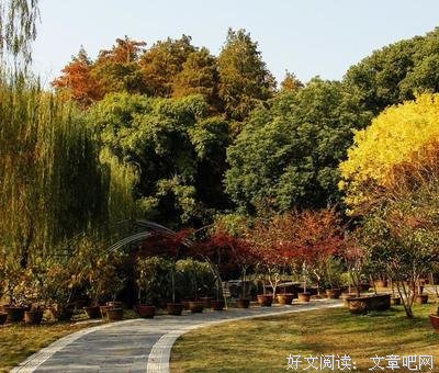 孤独优美的句子