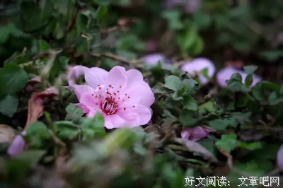 对社会浪说几句