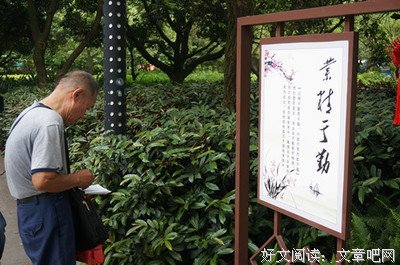 酥彬彬名言警句