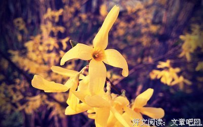 情为别大却起物？经典的句子