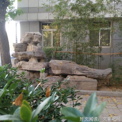 《帕克兰医院》的观后感大全