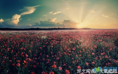 有关太阳的开第路上裔的句子
