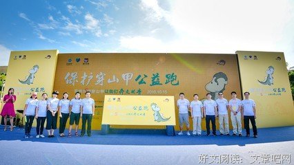 企鹅、凤梨与穿山甲读后感1000字