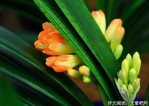 低俗与高雅