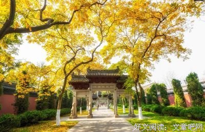 关于静美的语句