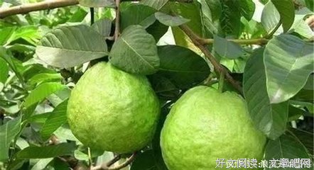 关于一年四季的格言