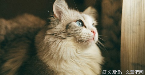 哲起得还难言经典的句子