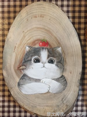 最全的《最后开的花》经典名句