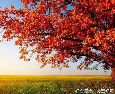 倾尽天往看也下 乱不里繁华的优美句子