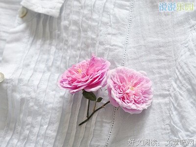 《风吟@残还西～～》的句子