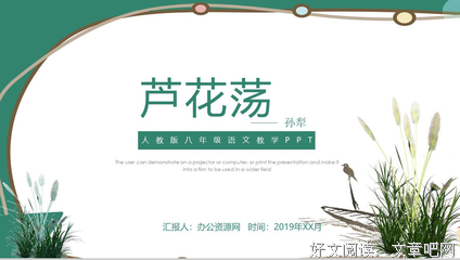 《芦苇荡的时光》影评精选