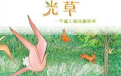 他看到光的背面读后感锦集