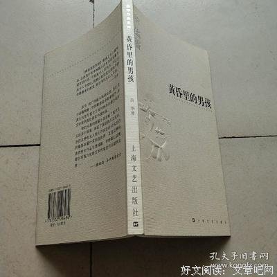 黄昏里的男孩读后感精选