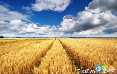 翩翩起舞的句子