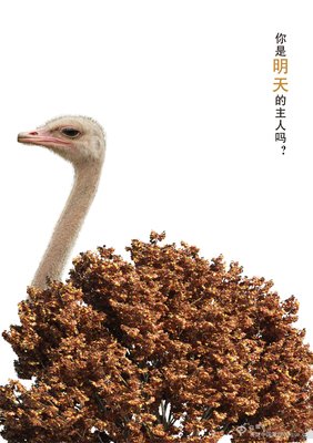 关于适者生存的座右铭
