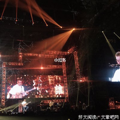 低头的麦穗