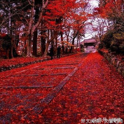 淡句子大全