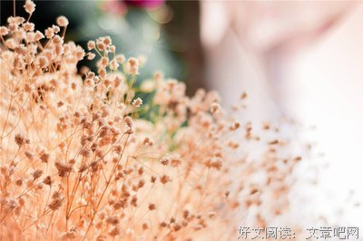 亦舒经典的句子