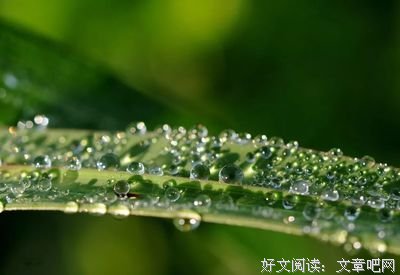 这样回你微信的人，其实不想和你聊天