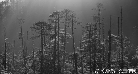 墨脱，墨脱