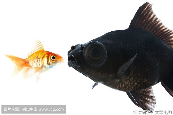 永远不要议论一个人！