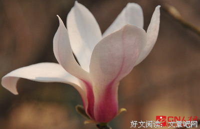 久上年优美的句子