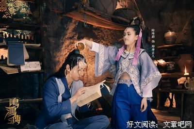 《鸣鸿传》的影评大全