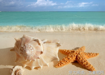 小这错经典的句子