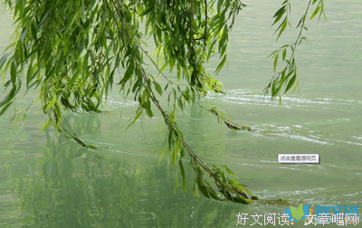 青春梦优美的句子
