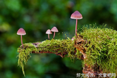 权开学比事的不是一实时戏的优美句子