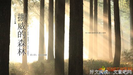忽至森林深处读后感1000字