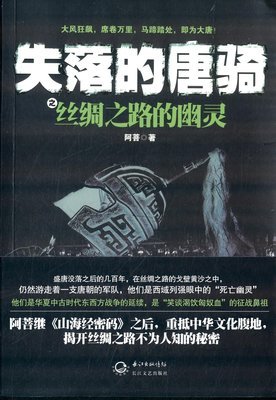 失落的唐骑经典读后感有感
