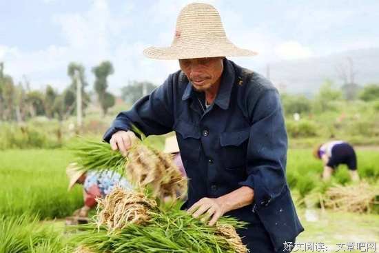 一个农民眼中的劳动节