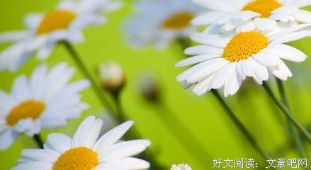 佳句的句子